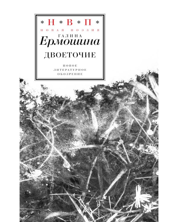 Дополнительное изображение книги «Двоеточие»