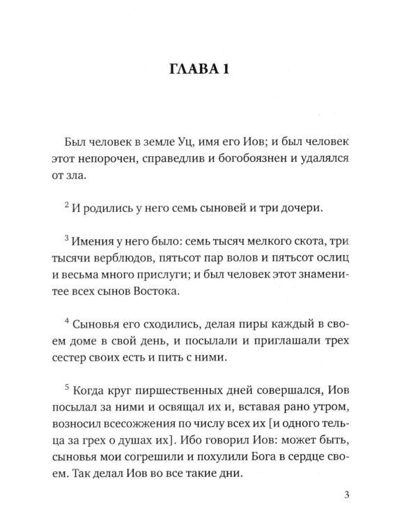 Дополнительное изображение книги «Карманный оракул»