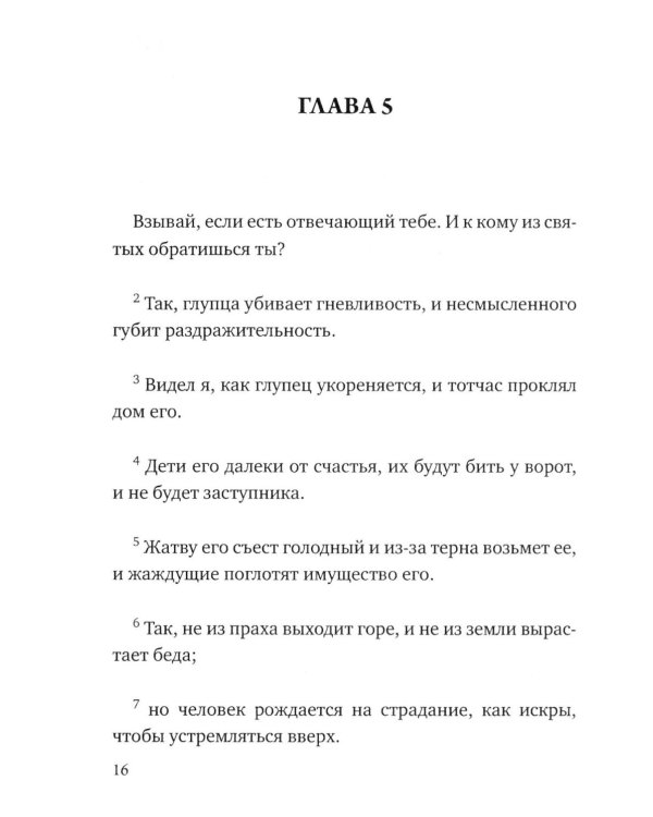 Дополнительное изображение книги «Карманный оракул»