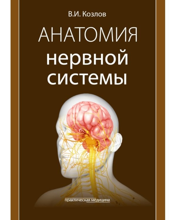Анатомия нервной системы: учебное пособие