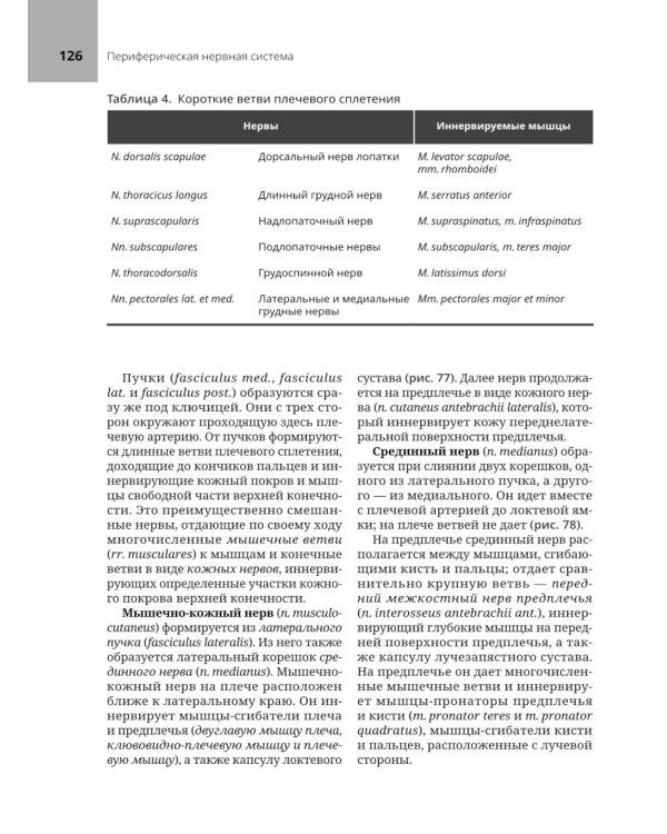 Анатомия нервной системы: учебное пособие
