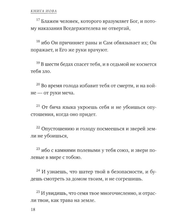 Дополнительное изображение книги «Карманный оракул»