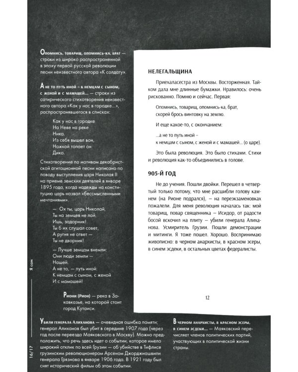 Стихи и поэмы: Подробный иллюстрированный комментарий к избранным произведениям