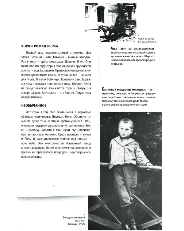 Стихи и поэмы: Подробный иллюстрированный комментарий к избранным произведениям