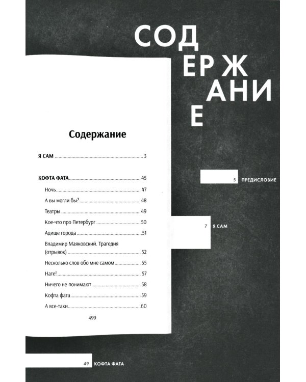 Стихи и поэмы: Подробный иллюстрированный комментарий к избранным произведениям