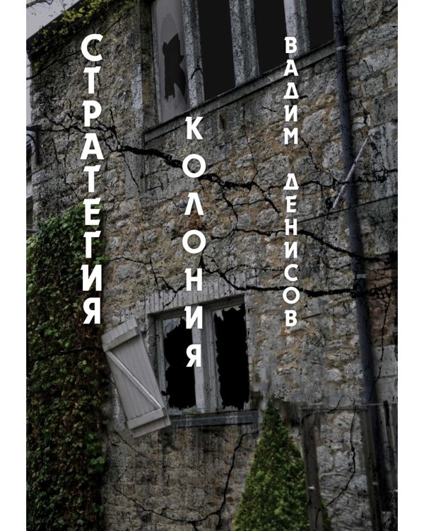 Стратегия. Колония