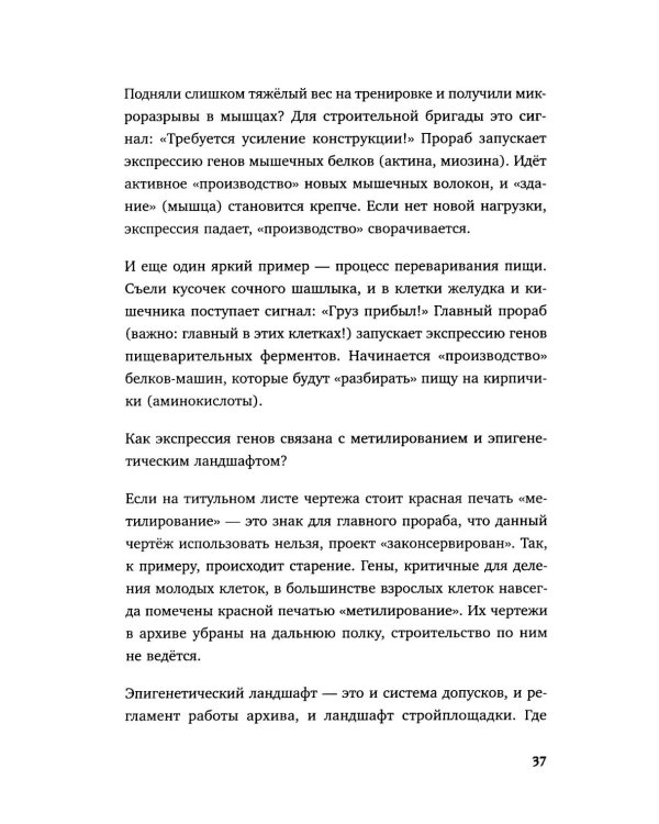 Предки завещали опасаться. Как травматическое наследие влияет на нашу жизнь и что можно изменить