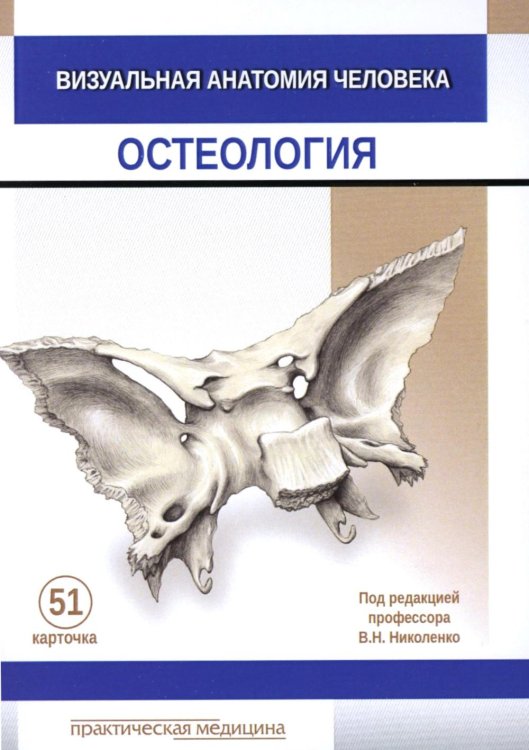 Визуальная анатомия человека. Остеология (карточки 51 шт.) Визуальная анатомия человека. Остеология (карточки 51 шт.)