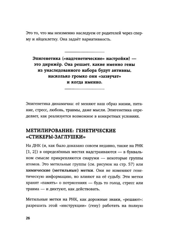 Предки завещали опасаться. Как травматическое наследие влияет на нашу жизнь и что можно изменить