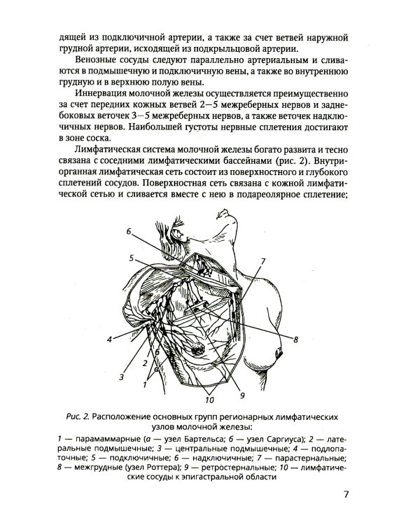 Хирургия молочной железы: руководство для врачей