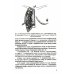 Хирургия молочной железы: руководство для врачей
