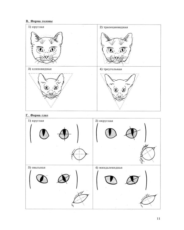 ОГЭ 2026. Биология. 30 вариантов. Типовые варианты экзаменационных заданий