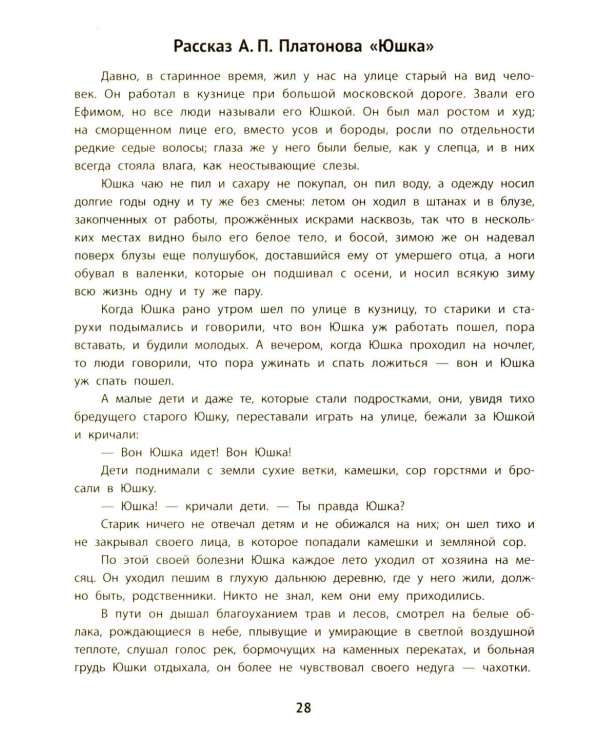 Литературные аргументы к сочинению: подготовка к ЕГЭ и итоговому сочинению: 10-11 кл
