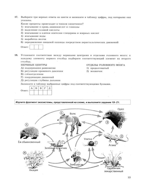 ОГЭ 2026. Биология. 30 вариантов. Типовые варианты экзаменационных заданий