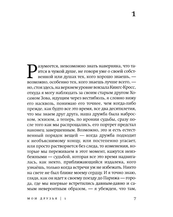 Мои друзья: роман