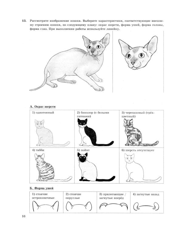 ОГЭ 2026. Биология. 30 вариантов. Типовые варианты экзаменационных заданий