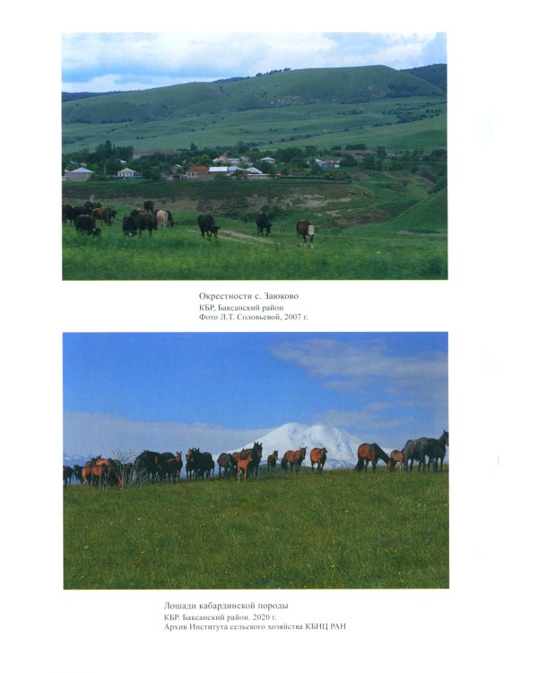 Адыги: Адыгейцы. Кабардинцы. Черкесы. Шапсуги. 2-е изд