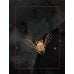 Дополнительное изображение книги «Скорбь сатаны»