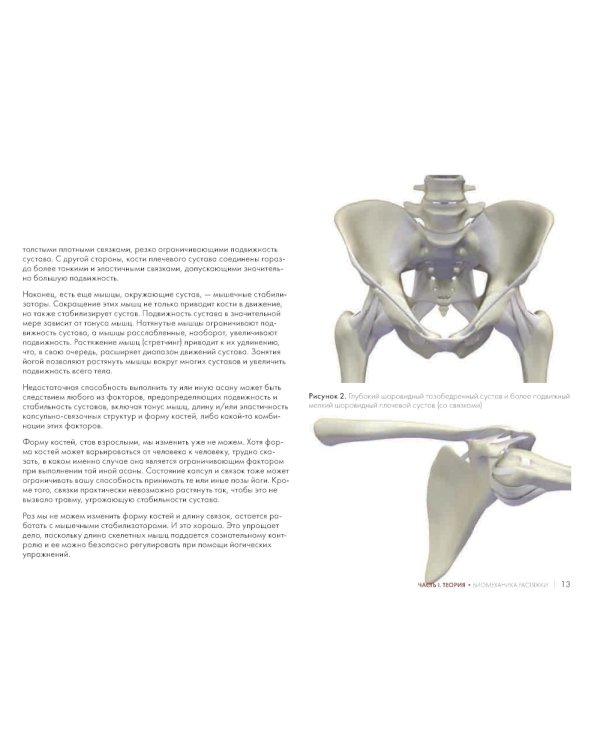 Ключевые позы йоги: Руководство по функциональной анатомии йоги