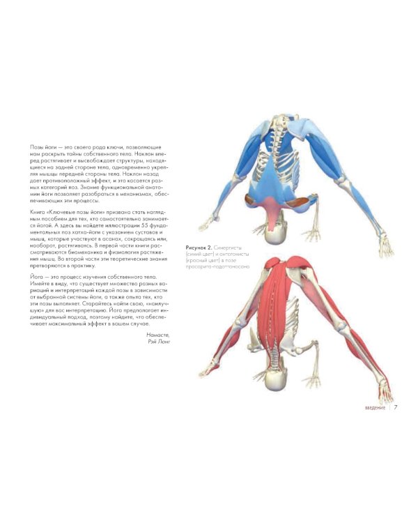 Ключевые позы йоги: Руководство по функциональной анатомии йоги