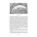 Пальмира - искусство Догадки о Набокове. Конспект-словарь. В 3 кн. Кн. 2 (И-С)