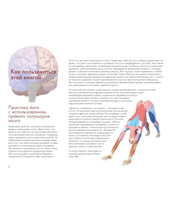 Ключевые позы йоги: Руководство по функциональной анатомии йоги