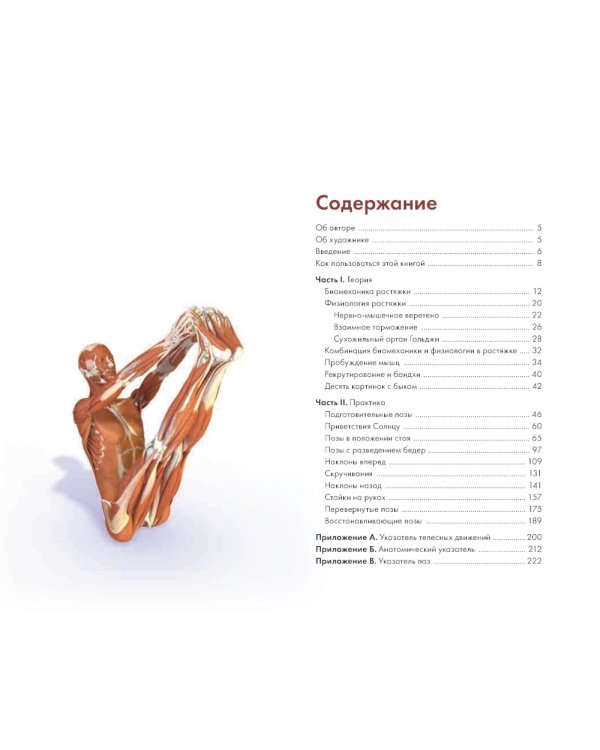Ключевые позы йоги: Руководство по функциональной анатомии йоги