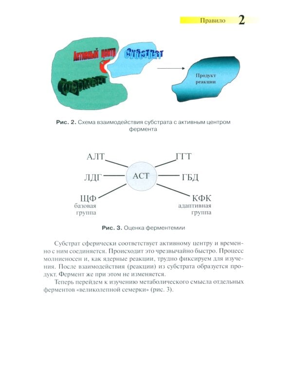 Правила чтения биохимического анализа: Руководстводля врача. 4-е изд., испр. и доп