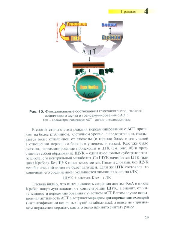 Правила чтения биохимического анализа: Руководстводля врача. 4-е изд., испр. и доп