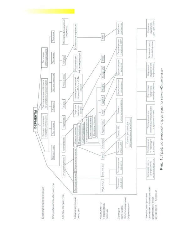 Правила чтения биохимического анализа: Руководстводля врача. 4-е изд., испр. и доп