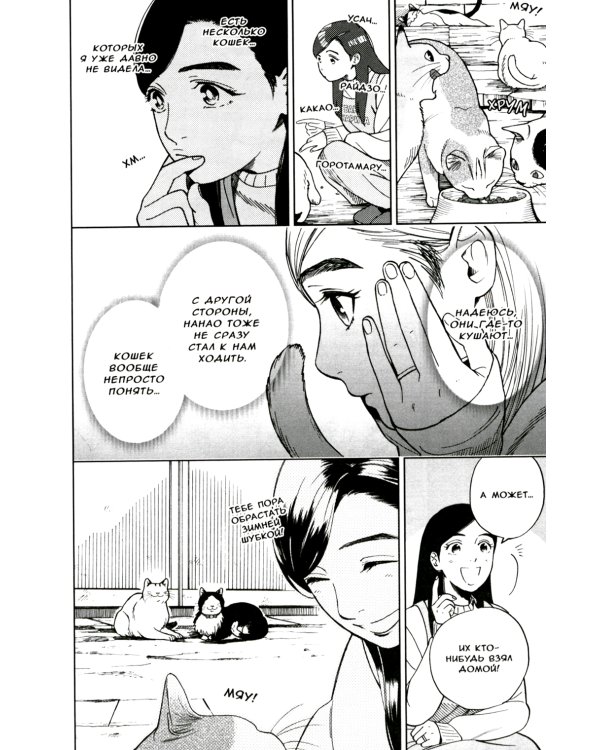 Жизнь бродячего кота. Т. 3