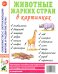 Животные жарких стран в картинках. Наглядное пособие для педагогов, логопедов, воспитателей и родителей