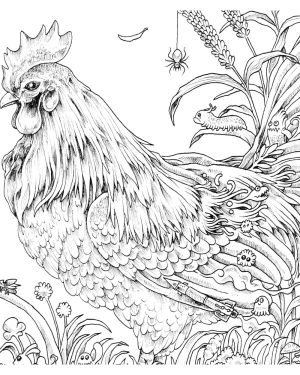 Геоморфозы. Экстремальные раскраски