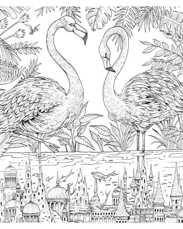 Геоморфозы. Экстремальные раскраски