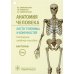 Анатомия человека. Кости туловища и конечностей. Карточки Анатомия человека. Кости туловища и конечностей. Карточки