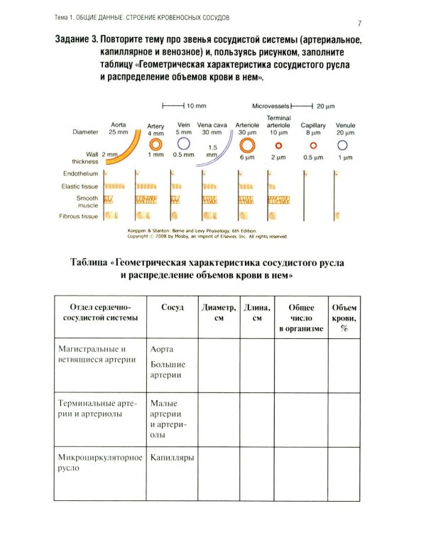 Анатомия человека: Ангиология Ч. 7: Анатомия органов сердечно-сосудистой системы. Рабочая тетрадь. 2-е изд., доп
