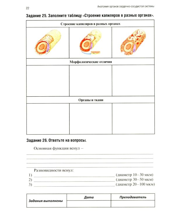 Анатомия человека: Ангиология Ч. 7: Анатомия органов сердечно-сосудистой системы. Рабочая тетрадь. 2-е изд., доп