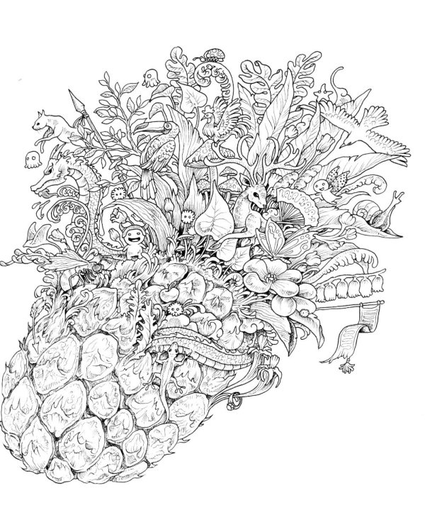 Геоморфозы. Экстремальные раскраски