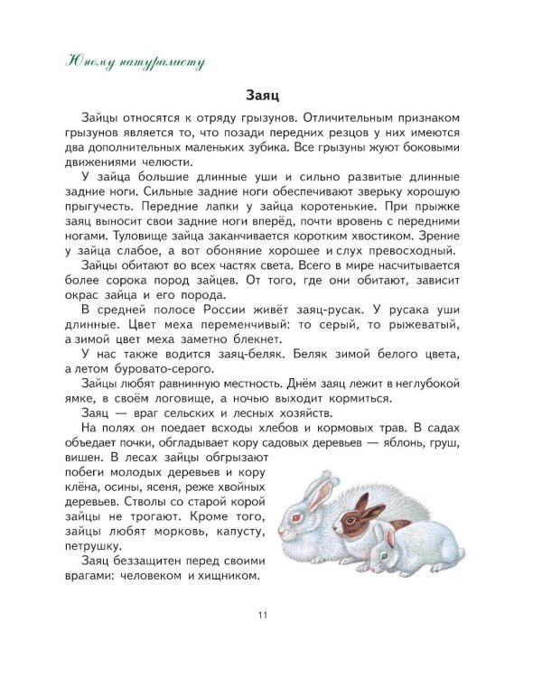 Первая после Букваря книга для чтения