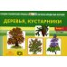 Картотека предметных картинок. Вып. 2. Деревья, кустарники. 3-7 лет