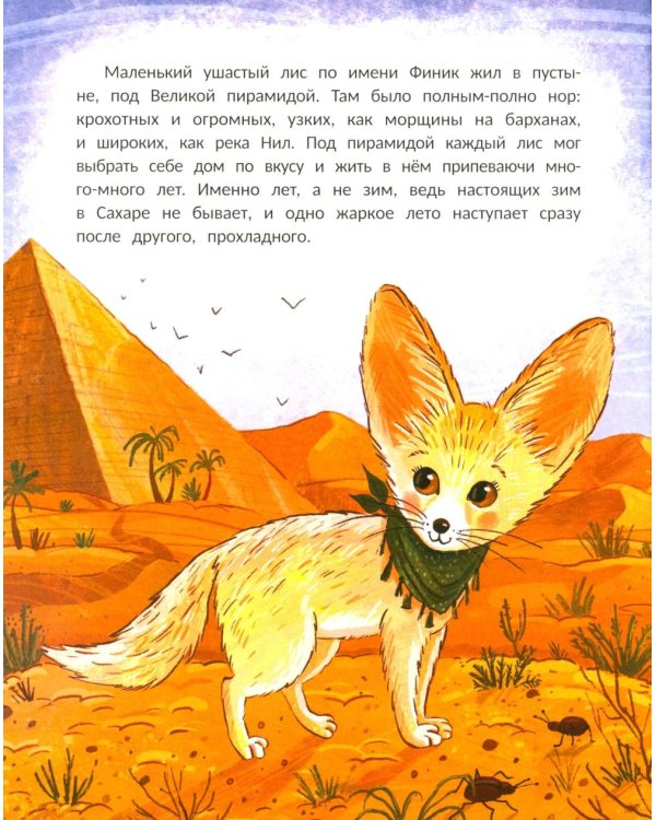 Финик, посмотри вокруг!