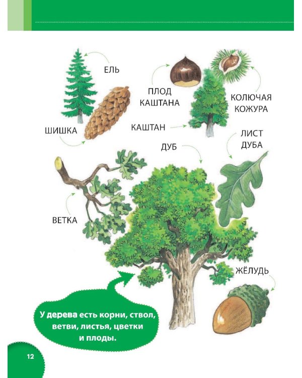 Энциклопедия для малышей