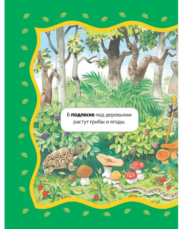 Энциклопедия для малышей