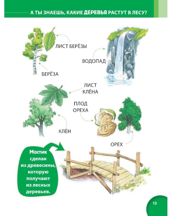 Энциклопедия для малышей