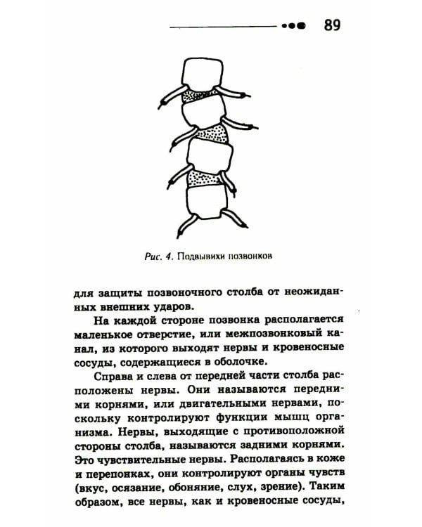 Все ключевые упражнения и рекомендации системы НИШИ. Конспект здоровья