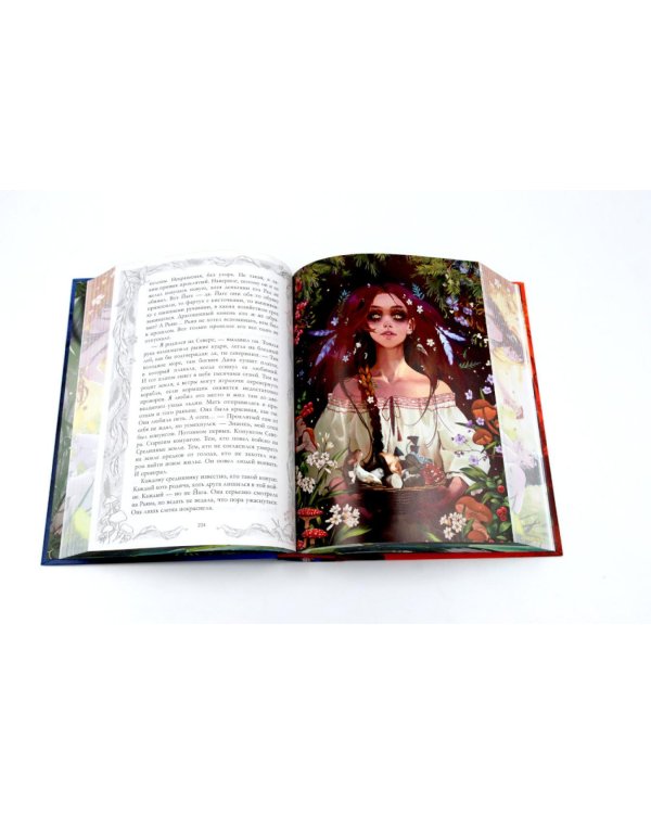 Враки. Йага и Аир (подарочные изд.)