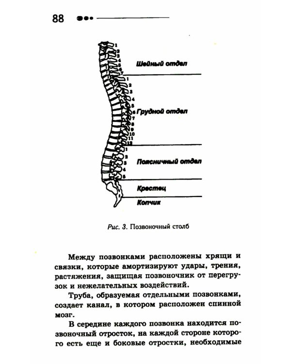Все ключевые упражнения и рекомендации системы НИШИ. Конспект здоровья