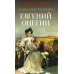 Роман с книгой Евгений Онегин: роман в стихах