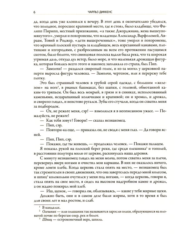 Большие надежды