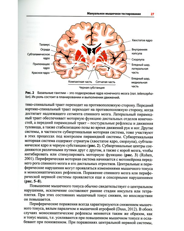 Визуальное руководство по функциональному мышечному тестированию. 3-е изд